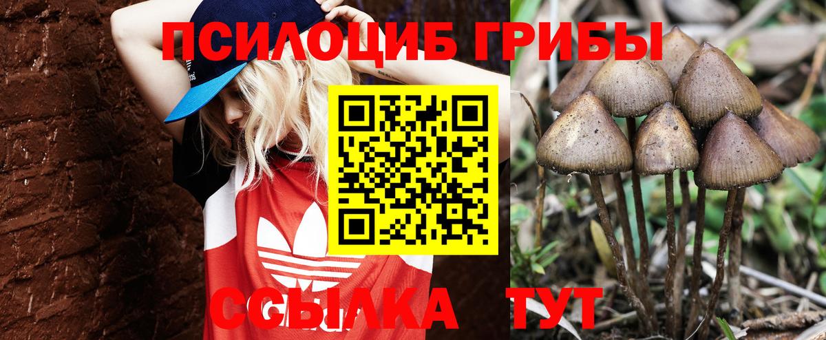 Псилоцибиновые грибы MAGIC MUSHROOMS  Вход с VPN  Верхняя Пышма  Галлюциногенные грибы ЛСД 